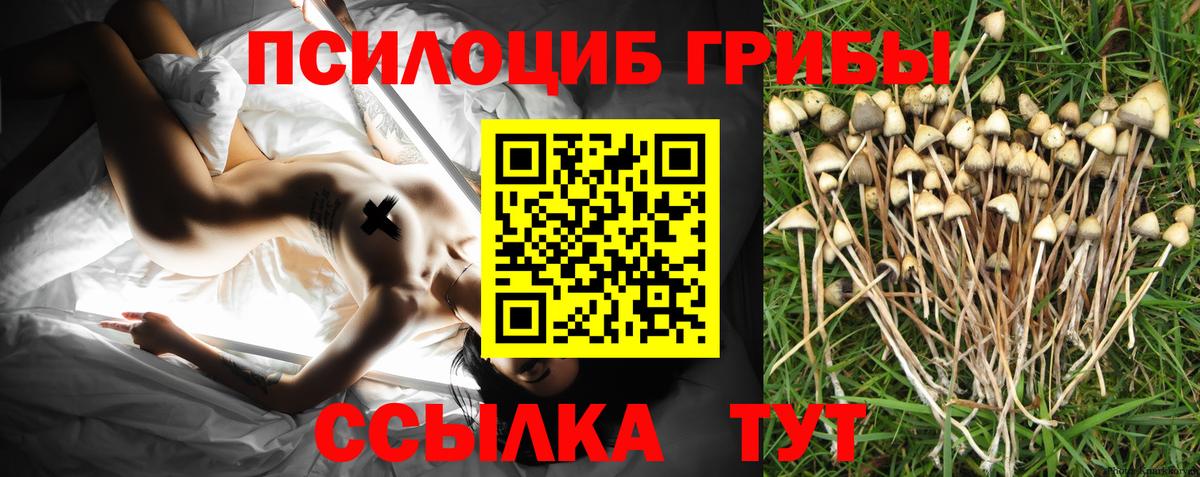 даркнет сайт  Галлюциногенные грибы Cubensis  Качканар  Вход с VPN  Псилоцибиновые грибы мицелий 